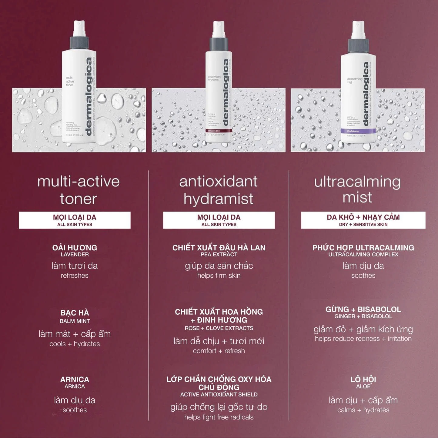 Antioxidant Hydramist