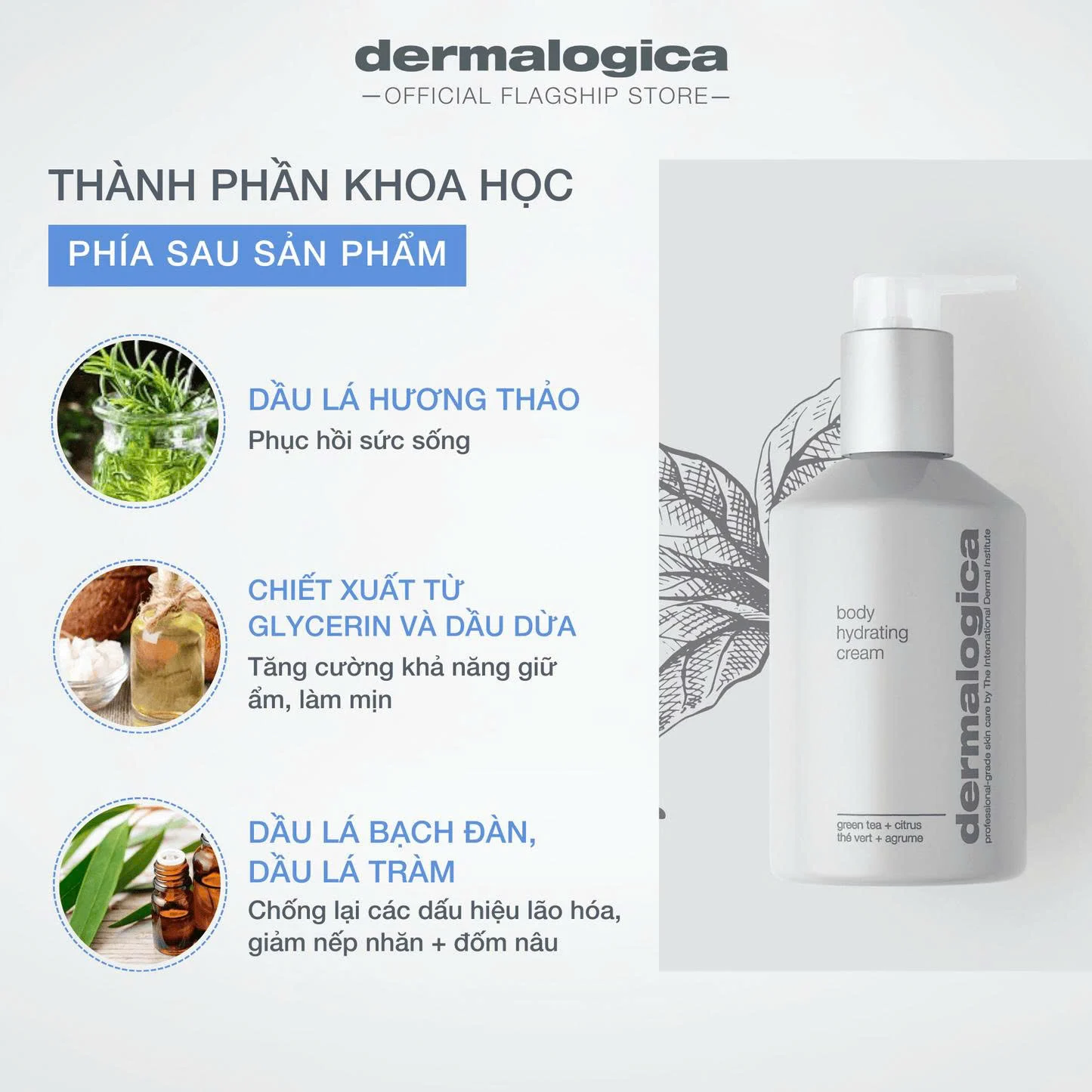 Body Hydrating Cream